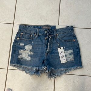 Brand new Jean shorts size medium from Just USA